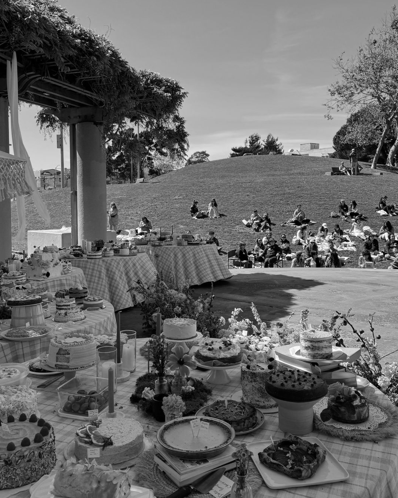 CAKE PICNIC